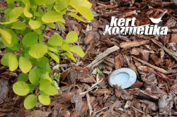 Cserszömörce + spot led lámpa (35)